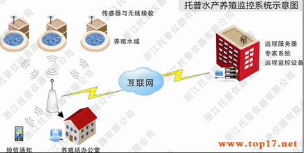 托普農業物聯網之托普水產養殖監控系統 智能化水產養殖的物聯網應用服務